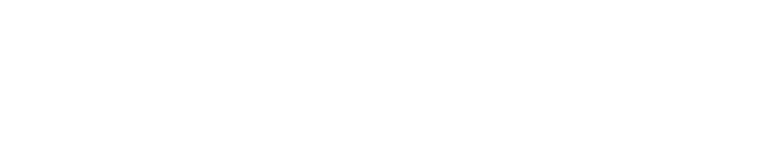 RM_Strip_White.png